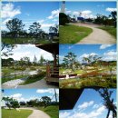 새천년생명의숲 이미지