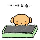 뮤지카나 피아노 스튜디오