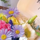 무드플레르