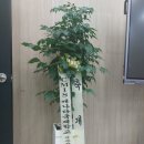 송도파고다어학원 네이버블로그