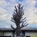 보리에 브레드팩토리 이미지