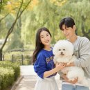 행진결혼정보 이미지