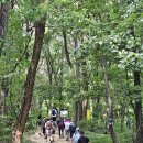 260809 인천 문학산 (산림청 명산100+, 도심 전망명소) 이미지