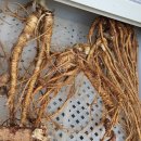 계촌 농장 이미지