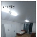 강대월 네이버블로그