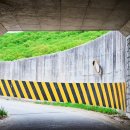 노루벌적십자생태원 이미지