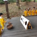 송산물빛 유아숲체험원 이미지