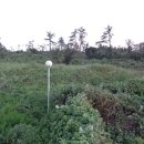 어도초등학교 이미지