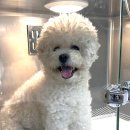 윤슬동물병원 이미지