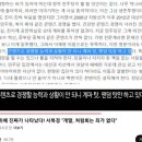 민주당 혁신위 서복경 위원 작년 인터뷰 기사 이미지