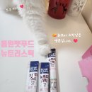 동원명가 | 동원 뉴트리스틱 고양이츄르 만년설 같은 우리집 고정쮸르