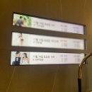엘리에나호텔 결혼식 솔직 후기(+ 수에르떼 스냅)