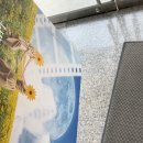 영우메디칼 | 엄마가 보면 안되는…