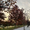 황제참참참 이미지