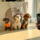 솔티위티 이미지