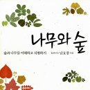 백야자연휴양림 이미지