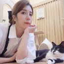 뜰안에냥 이미지