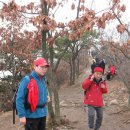 꼬꼬상회 이미지