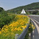 진교면사무소 이미지