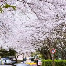 대우마리나아파트 이미지