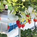 덕정농장 이미지