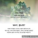 개봉목욕탕 | [내돈내산] 폴라탐 퓨어 크림 하이드로 래디언스 마스크팩 후기