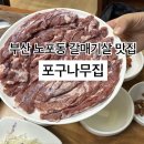 나무집 | [공지] 부산 숨은 맛집 추천 | 노포동 갈매기살 전문점 포구나무집 후기