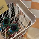 코인홀릭 코인노래연습장 양산물금점 이미지