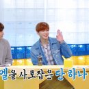 먹어볼래 네이버블로그