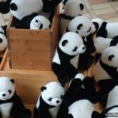 제주테디베어뮤지엄 이미지