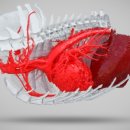 으뜸동물병원 이미지