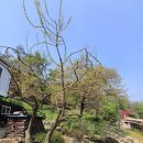 대송면 용암사 이미지