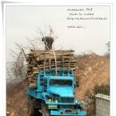 벌채임업