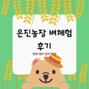 유공프라자(자연밥상) | 강남 아이랑 갈만한 곳 은진농장 벼체험 예약 후기