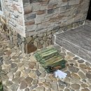 줄라이 밀양 이미지