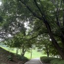42번가 뮤지컬 2-6학년(라이온킹) | 여름방학☀️