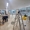 운정고양이호텔 이미지