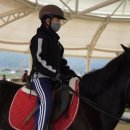 승마랜드 이미지