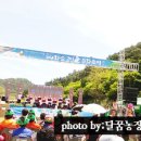 달콤한꿈을꾸는베리농장