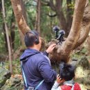 안덕초등학교 이미지