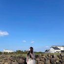 ➀ 홀로제주 , 종달리 🏡