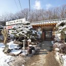 수인씨의마당 이미지