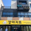 강아지트 이미지