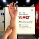 밀린 블로그를 시작하지