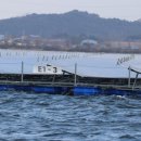 지산 태양광발전소 이미지