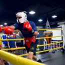 복싱바이러스 이미지