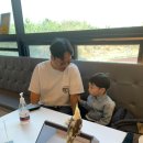 종인유치원 | 2025.03- 2주간의 한국여행- 엄마의 사심이 가득한 앵무새 카페 방문기