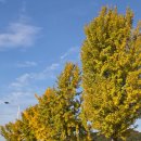 유이비인후과의원 | [광주 병원 독감접종]남구 효천지구 달팽이이비인후과의원에서 독감접종 완료