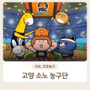 카이너스