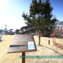 속리산소리사 이미지